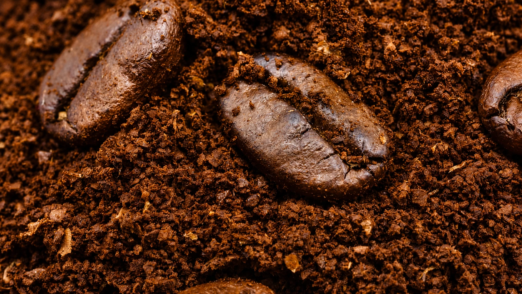 Premium Filter Coffee featuring clean, aromatic flavor and authentic Italian coffee tradition by Velza Global across India, Philippines, and Hong Kong